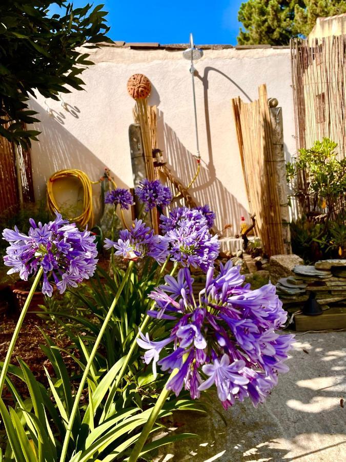 Villa Jeannette Grosseto-Prugna Dış mekan fotoğraf